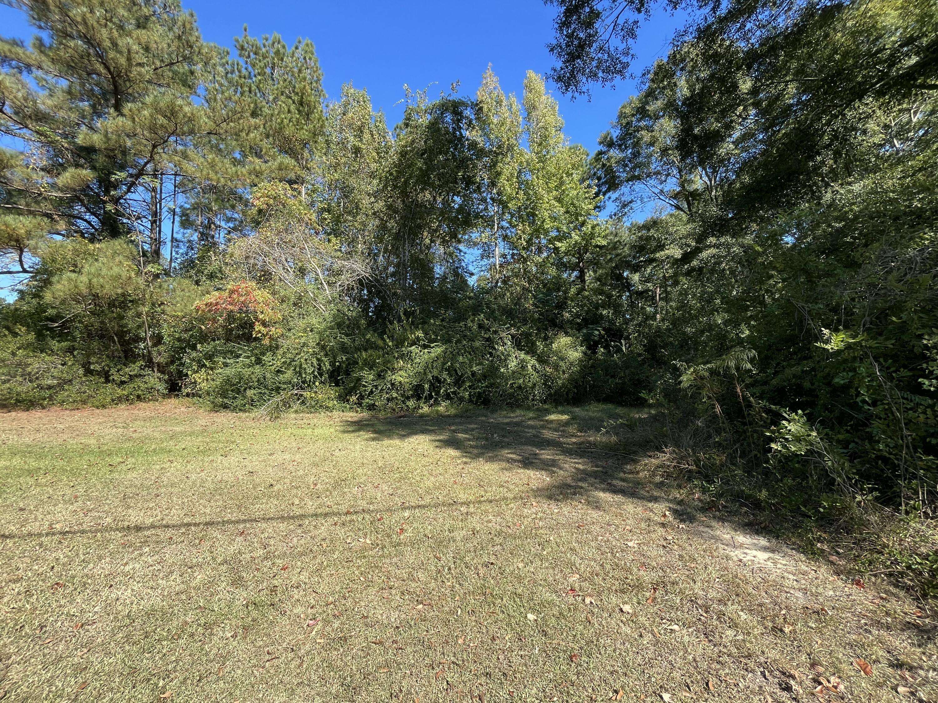 Petal, MS 39465,0 King Blvd.
