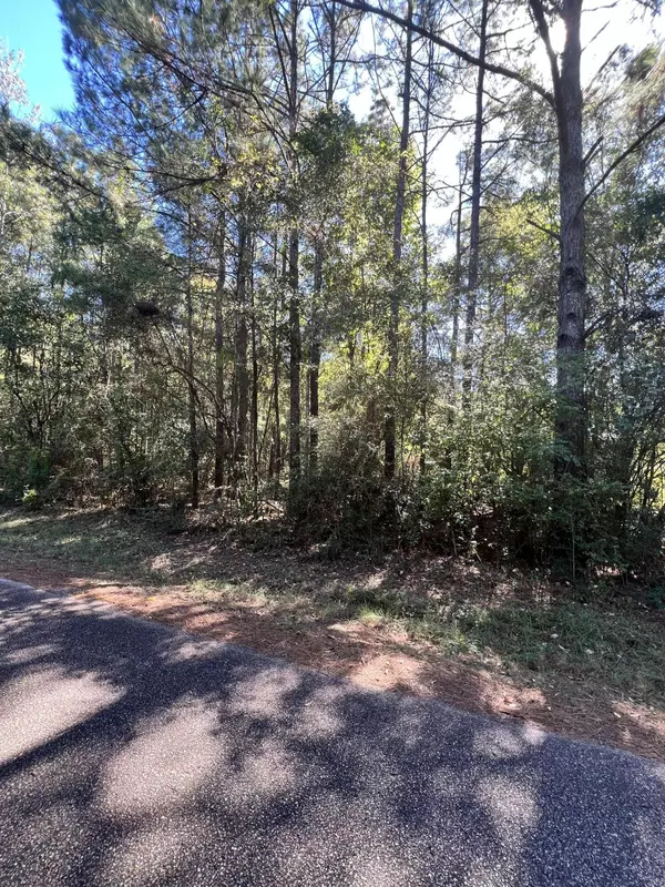 Sumrall, MS 39482,0 Bond Cir.