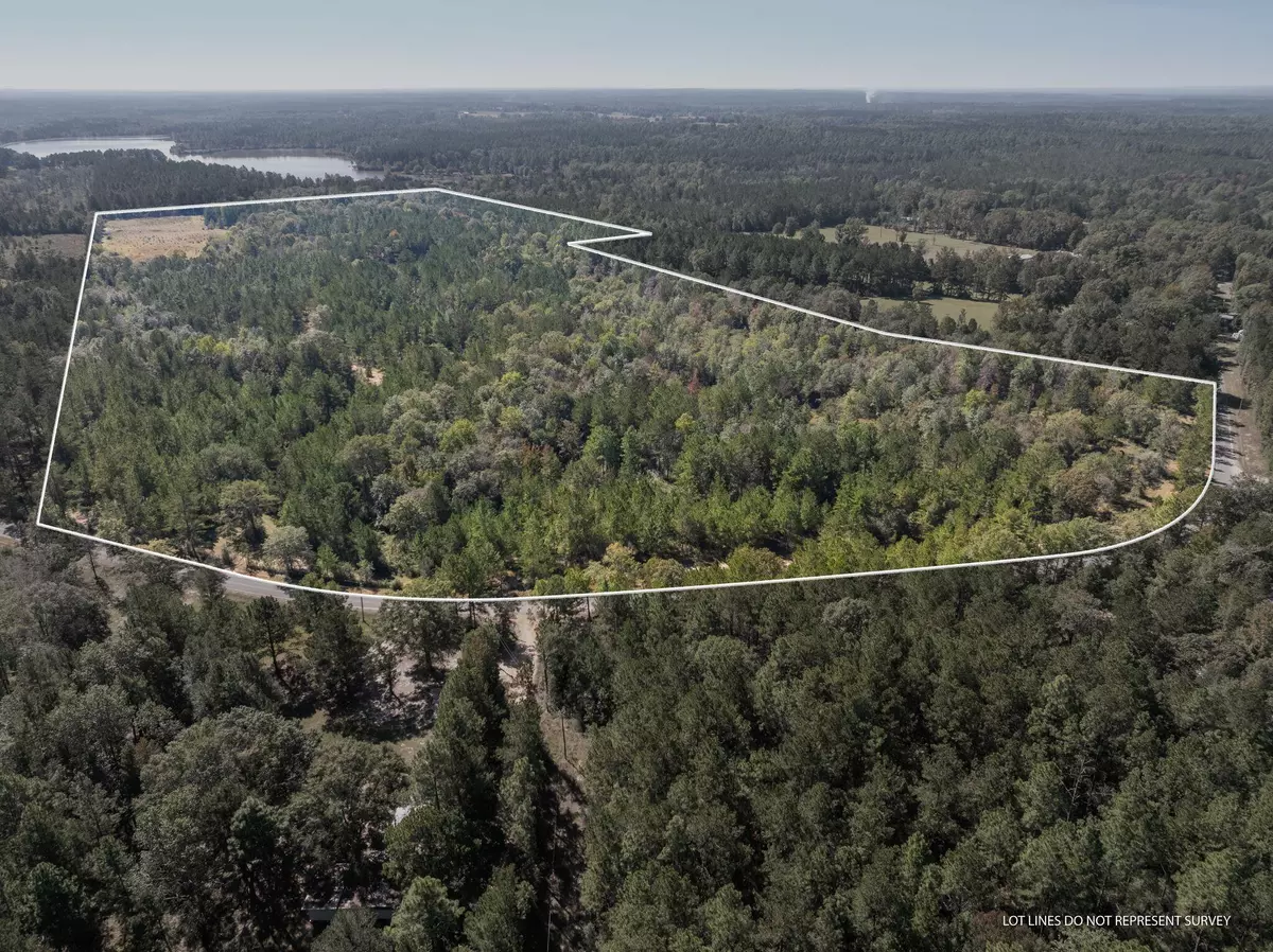 Poplarville, MS 39470,91 Acres Burge and Reyer