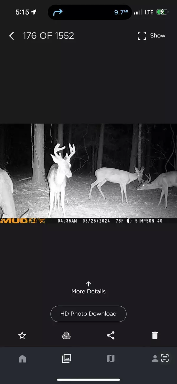 Mendenhall, MS 39114,242 Dan George Rd