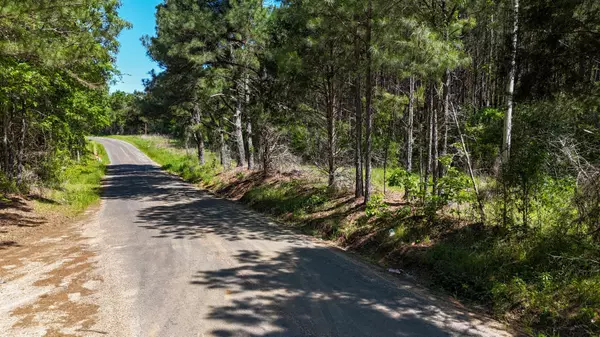 Mendenhall, MS 39114,242 Dan George Rd