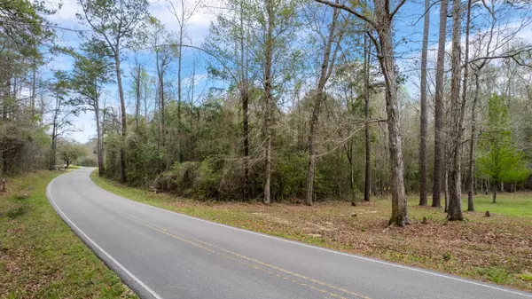 Sumrall, MS 39482,Lot 28 N Bryant Rd.