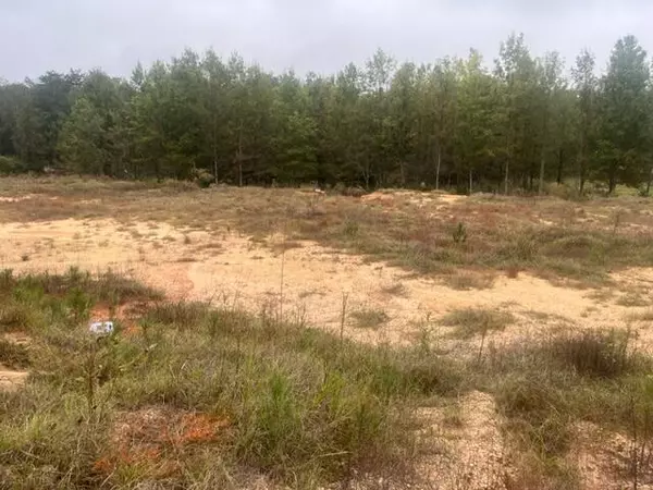 Stringer, MS 39481,450 County Road 155