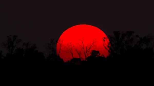 Lumberton, MS 39455,35 Withrow