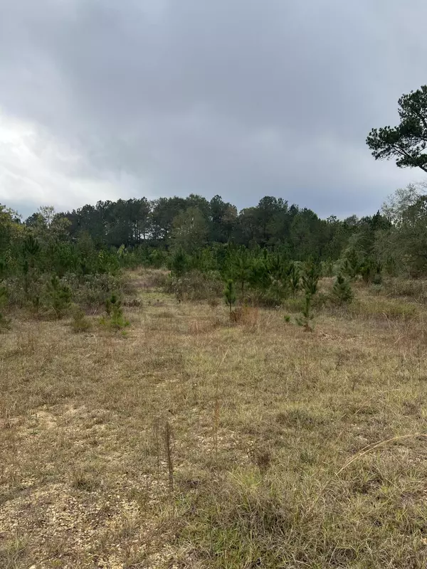 Wiggins, MS 39573,329 Magnolia