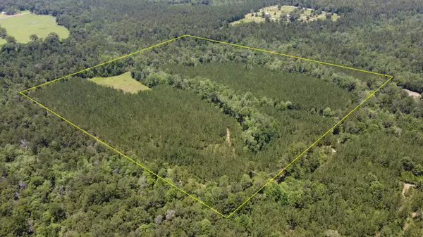 Wiggins, MS 39577,0 Stout Bond Rd.