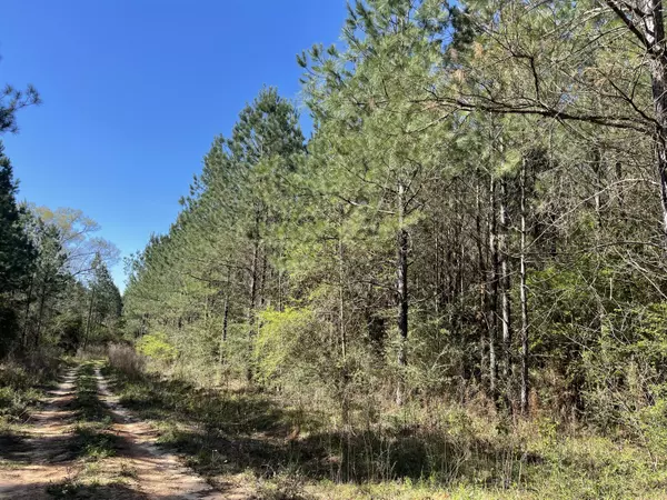 Lumberton, MS 39455,83 Hub Davis Rd.