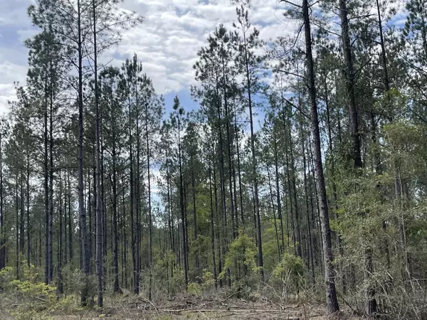 Poplarville, MS 39470,0 Stanford Lake Rd.