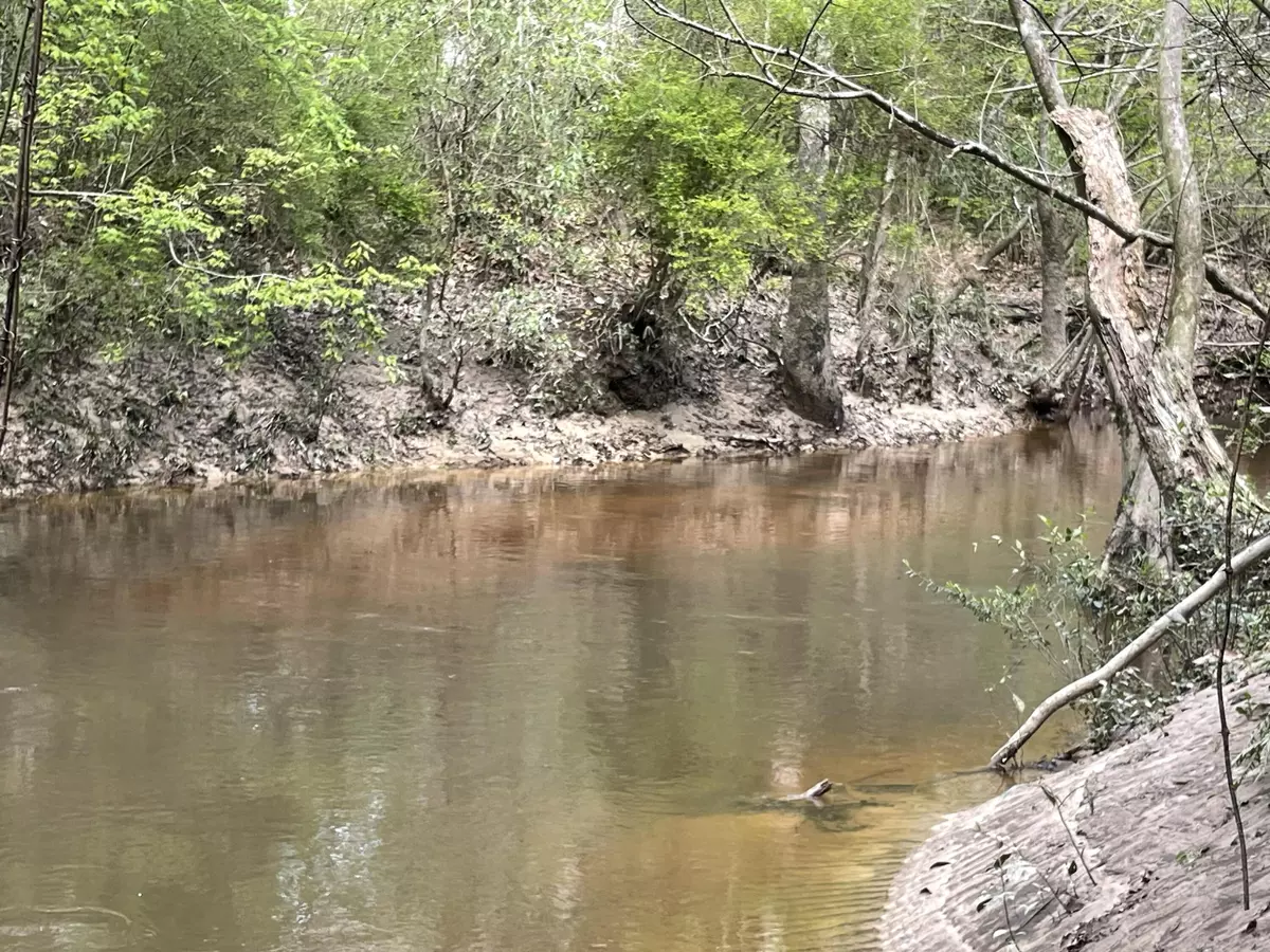 Poplarville, MS 39470,0 Stanford Lake Rd.