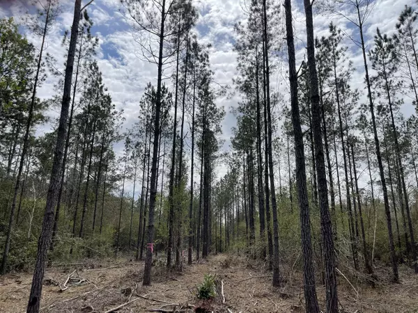 Poplarville, MS 39470,0 Stanford Lake Rd.