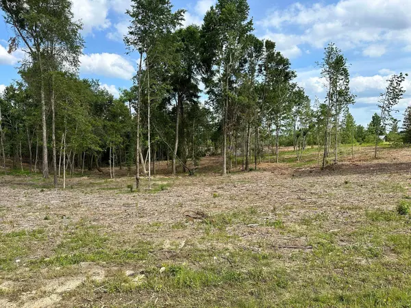 Petal, MS 39465,000 Goodluck Rd.