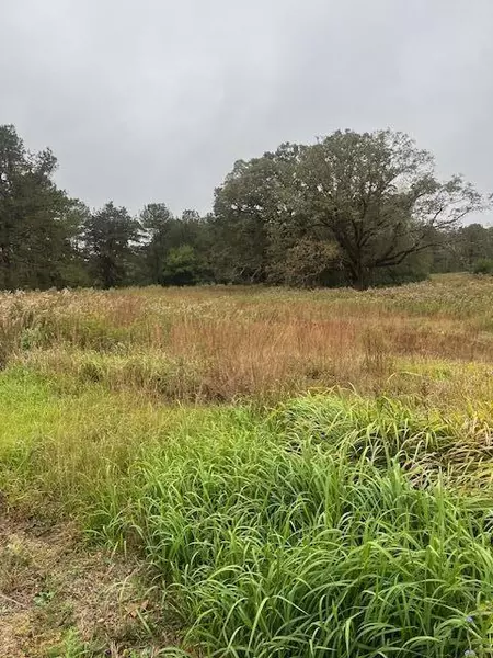 34 Shine Bullock Rd., Laurel, MS 39443