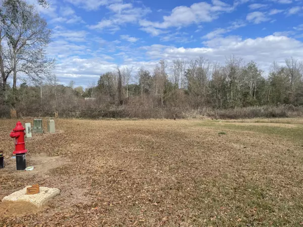 Columbia, MS 39429,TBD Bellewood