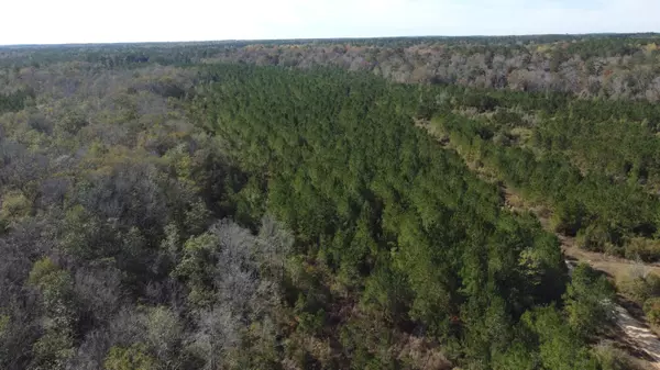 Poplarville, MS 39470,00 Stanford Lake Rd.