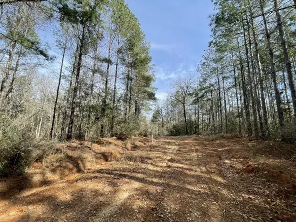 Lumberton, MS 39455,0 Gunther Rd.