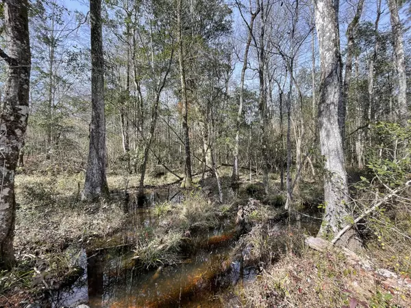 Lumberton, MS 39455,0 Gunther Rd.