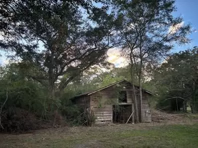 00 MS-590, Seminary, MS 39479