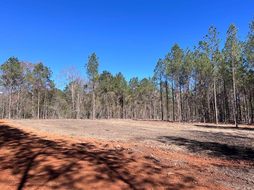 Poplarville, MS 39470,65 Nelson