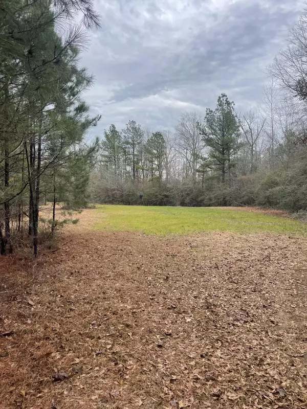 Prentiss, MS 39474,TBD Mt Carmel Rd