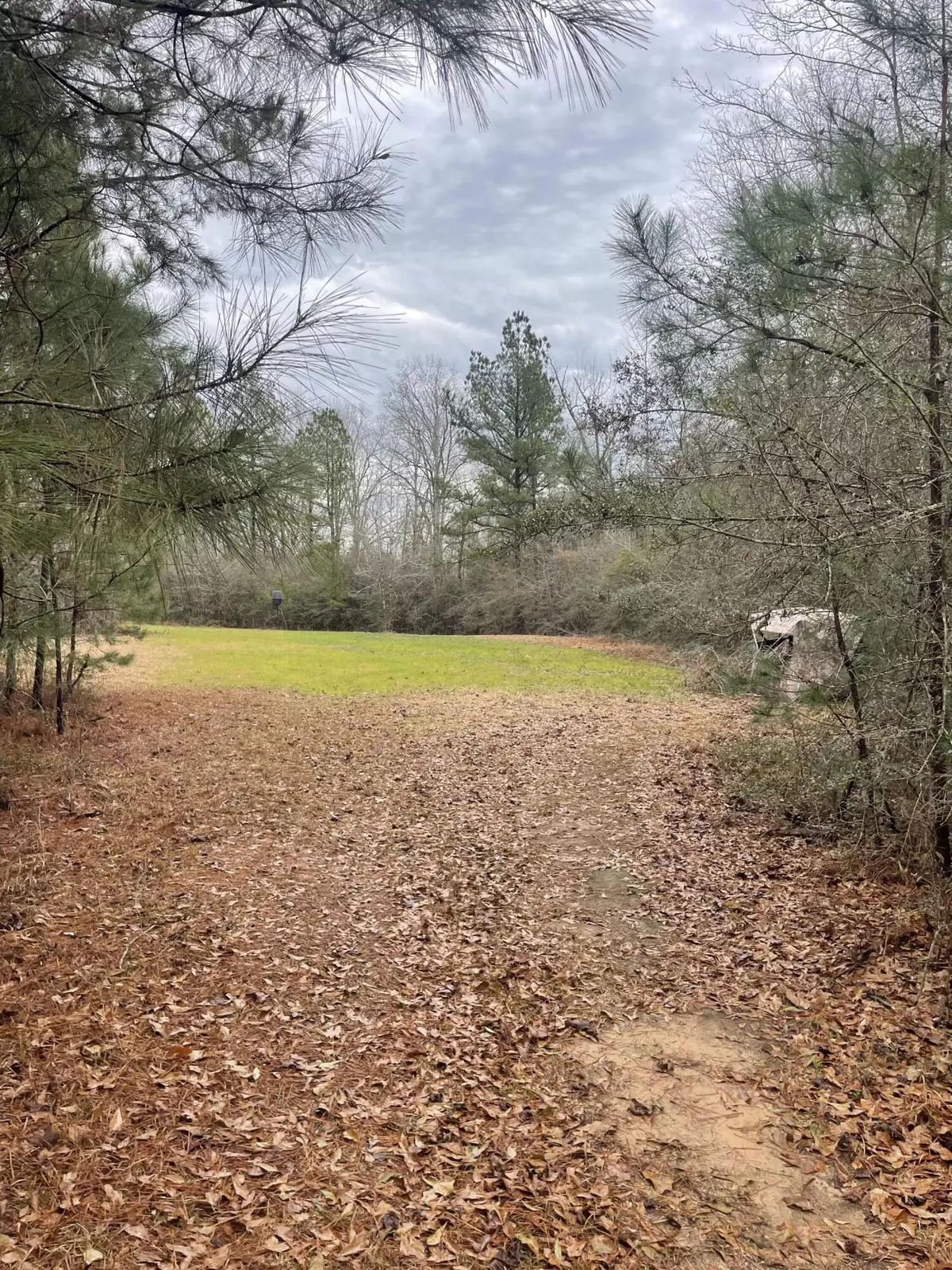 Prentiss, MS 39474,TBD Mt Carmel Rd