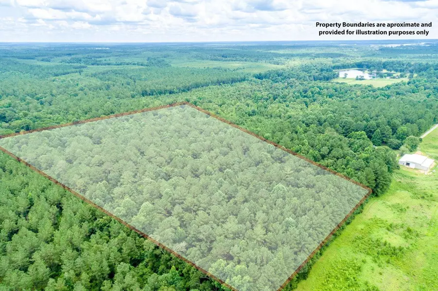 25.5 +/- Acres Canty Rayborn Rd., Sumrall, MS 39482