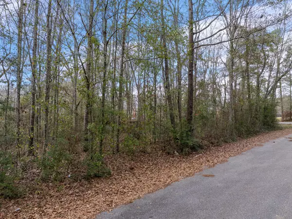 Purvis, MS 39475,Lot 3 Robinwood Pl
