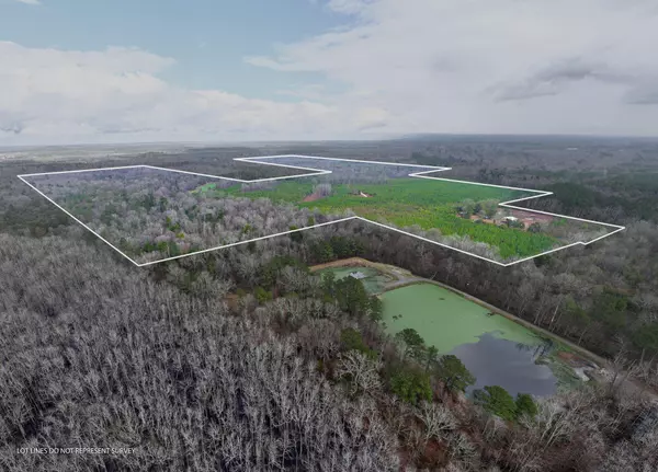 New Augusta, MS 39462,113 N 8th Ave.