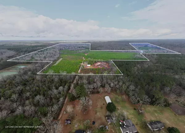 New Augusta, MS 39462,113 N 8th Ave.