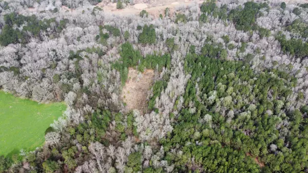 Sumrall, MS 39482,00 Daughtrey Holbrook Rd.