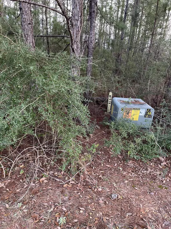 Hattiesburg, MS 39402,42 S Of Fields