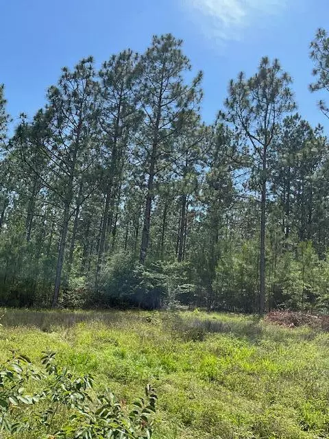 Lumberton, MS 39455,001 Hwy 13