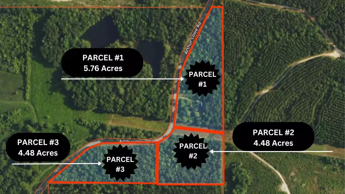 Lumberton, MS 39455,127 Arthur Lowe Rd- Parcel 1