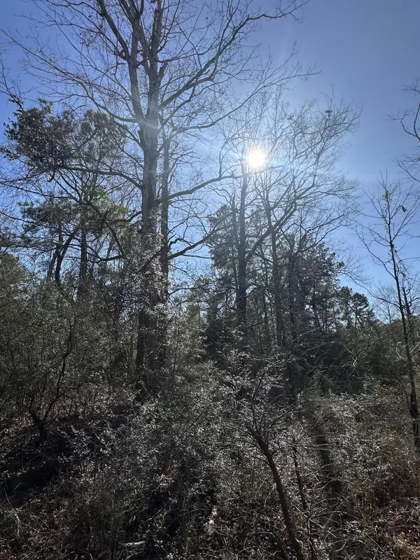 Hattiesburg, MS 39402,123 Oakwood Dr.