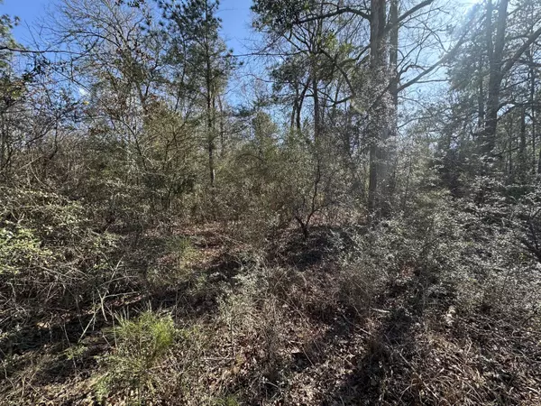 Hattiesburg, MS 39402,123 Oakwood Dr.