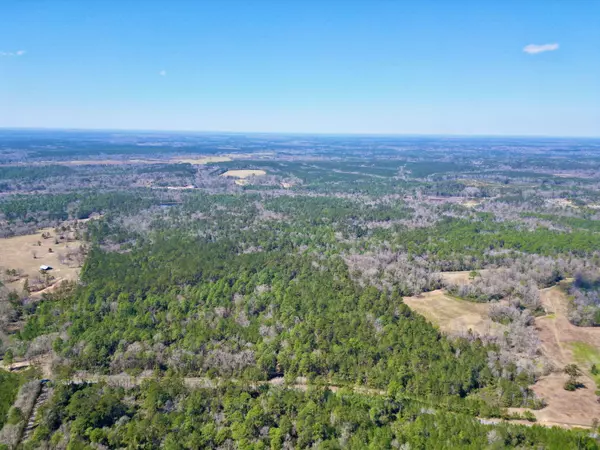 Poplarville, MS 39470,Tract 1 Cowart Holiday