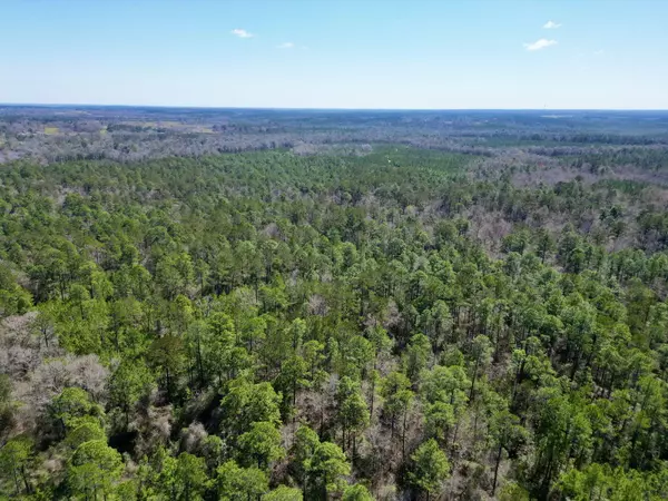 Poplarville, MS 39470,Tract 2 Cowart Holiday