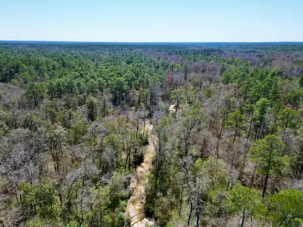 Poplarville, MS 39470,Tract 2 Cowart Holiday