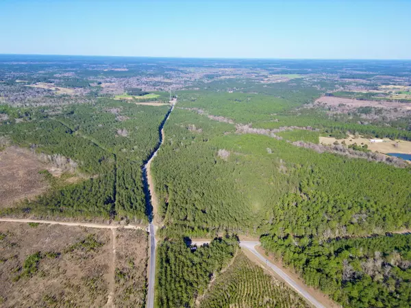Hattiesburg, MS 39470,NHN Gobbler Head