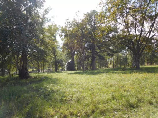 Poplarville, MS 39470,Lot #12 Oak Haven Dr.