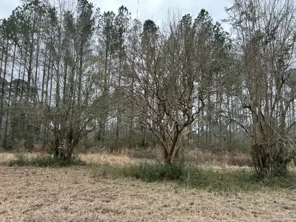 Columbia, MS 39429,241 Stuckey Rd.