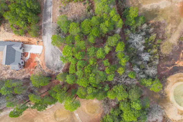 Hattiesburg, MS 39401,Lot D-3 Murfield