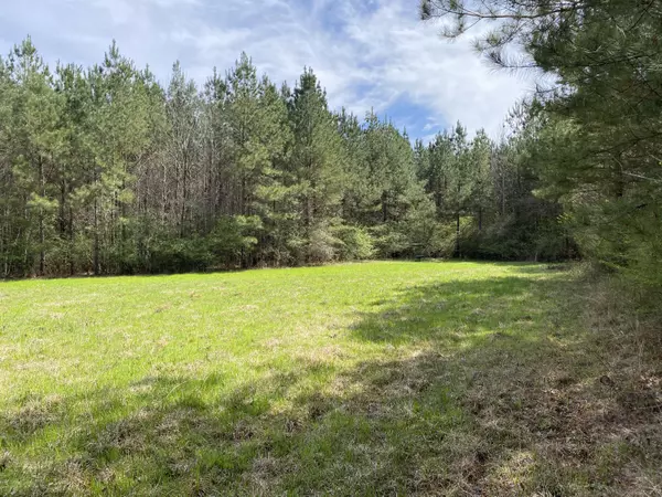 94 Acres Everett Rd., Hickory, MS 39332