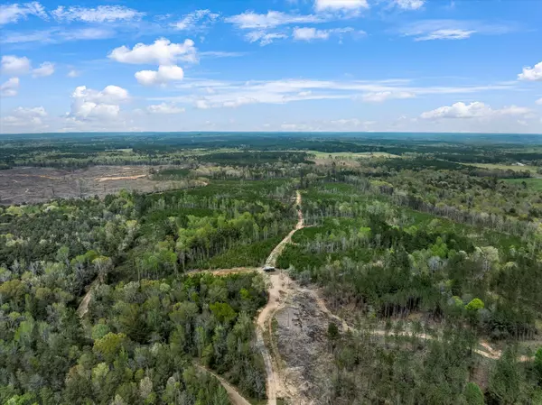 Silver Creek, MS 39663,Parcel 2 Stephens Cemetery Rd.