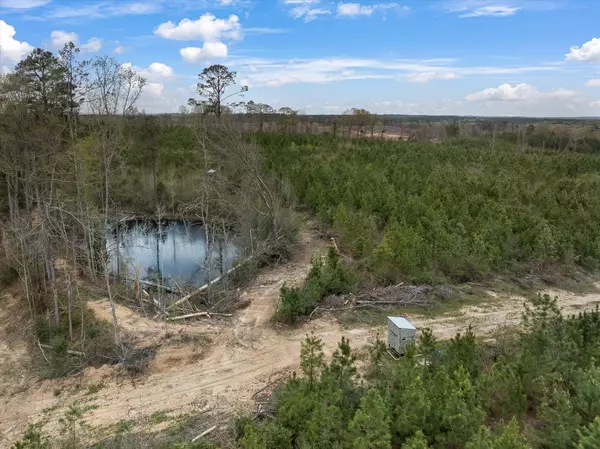 Silver Creek, MS 39663,Parcel 1 Stephens Cemetery Rd.