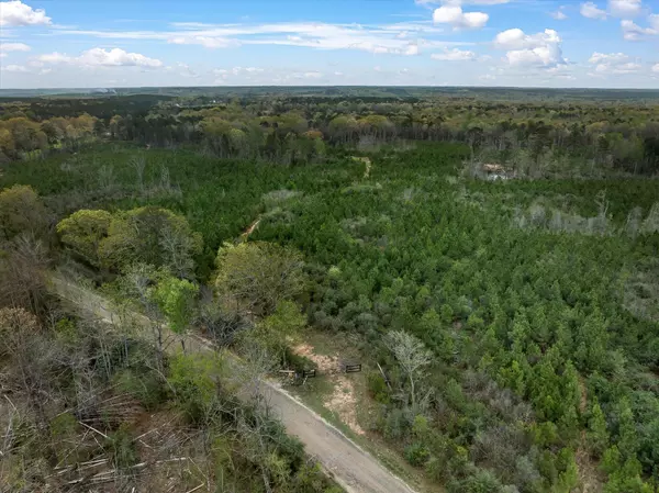 Silver Creek, MS 39663,Parcel 1 Stephens Cemetery Rd.