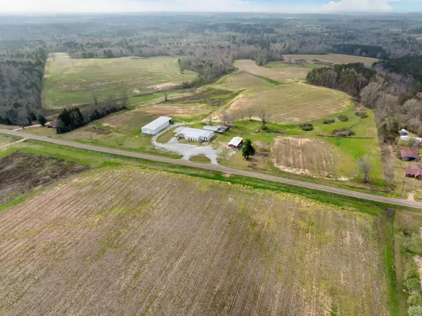 Mount Olive, MS 39119,300 Acres +/- Hwy 532