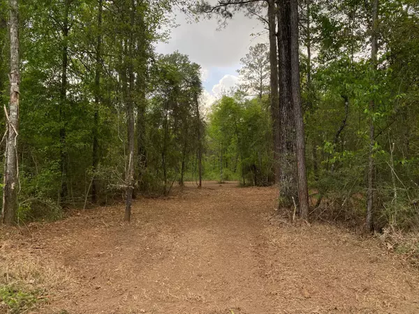 1.29 Acres Beaver Damn Rd., Lucedale, MS 39452