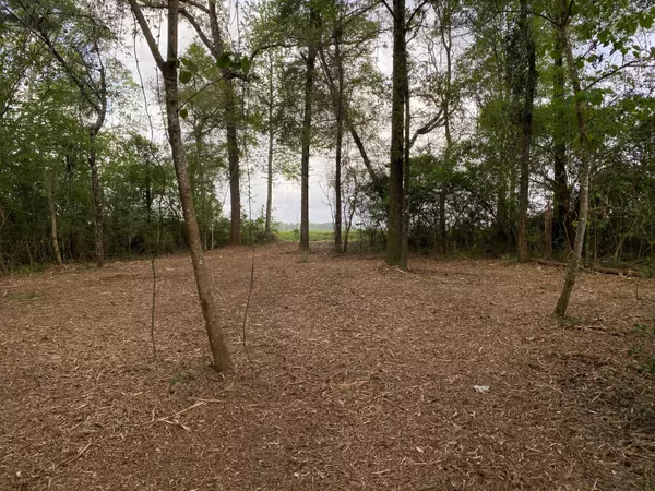 Lucedale, MS 39452,2.14 Acres Beaver Damn Rd.