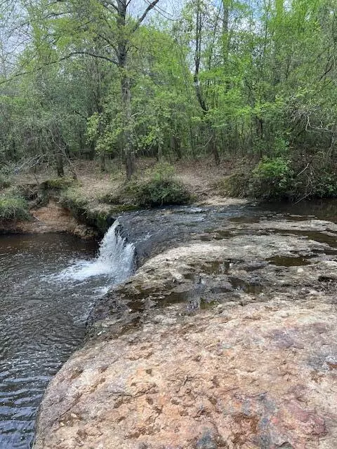 Ellisville, MS 39437,00 Ovett Moselle Rd