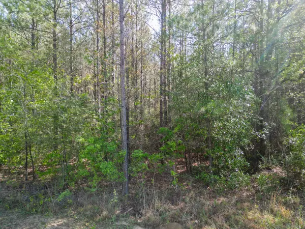 Hattiesburg, MS 39402,+/- 93 Acres Lott Town Rd.